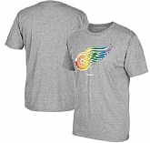 Men's Detroit Red Wings Gray Reebok Rainbow Pride Short Sleeve T-Shirt FengYun,baseball caps,new era cap wholesale,wholesale hats